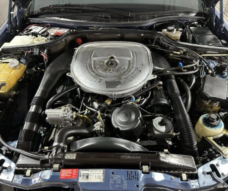 584299163_1356320689628421_3269296977174312546_n