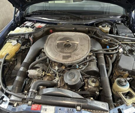 584453356_1356320652961758_8194947432395289695_n